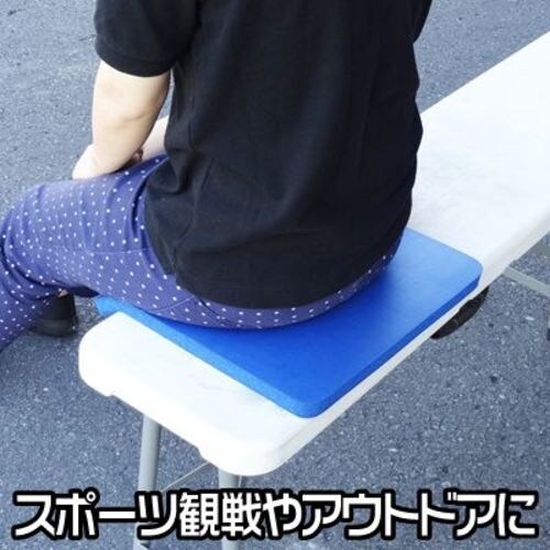 アストロプロダクツ クッションシート 青