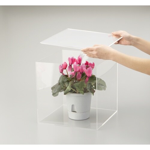 光 アクリルBOX 300mm