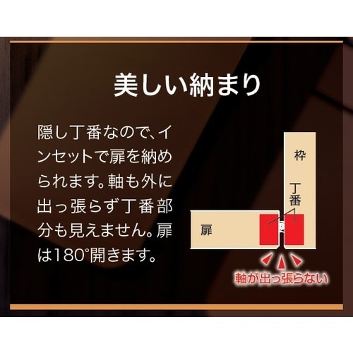 SUGATSUNE (170035443)HES3