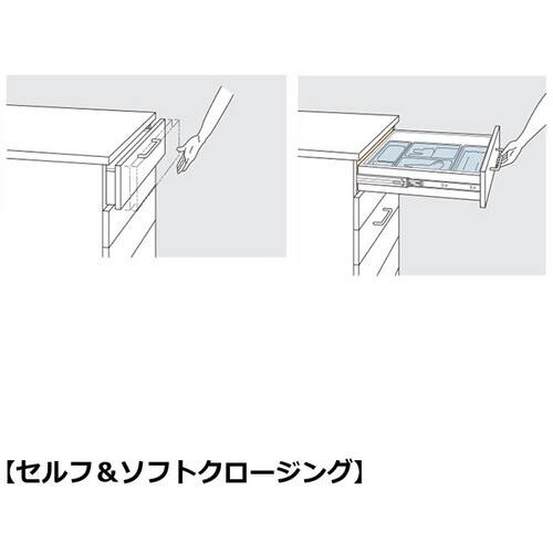 SUGATSUNE (190032439)2020