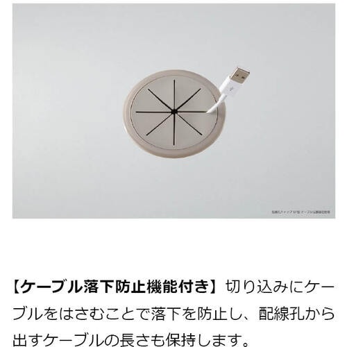 SUGATSUNE (210037257)SF91