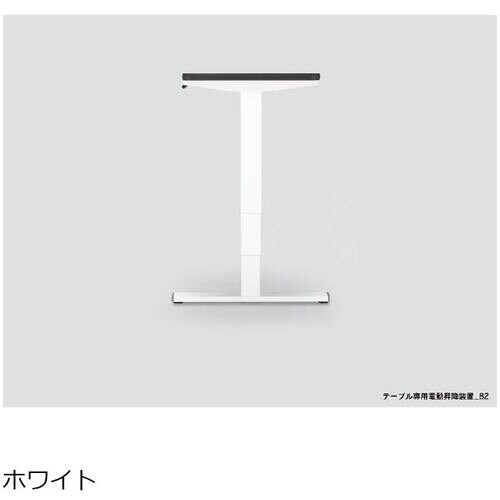 SUGATSUNE (200044491)LFT−