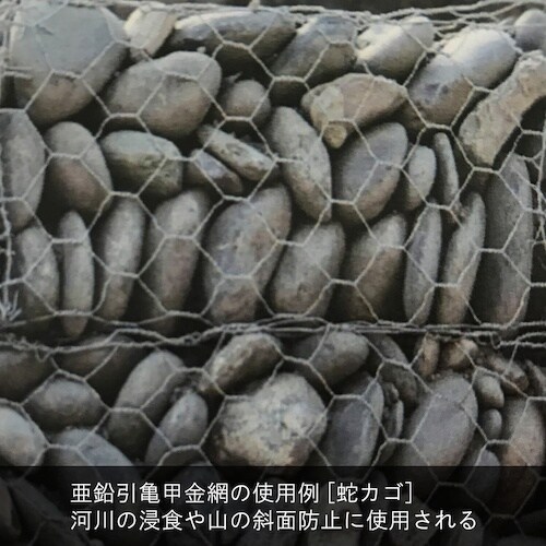 DAIDOHANT ステンレス 亀甲金網 線径0.