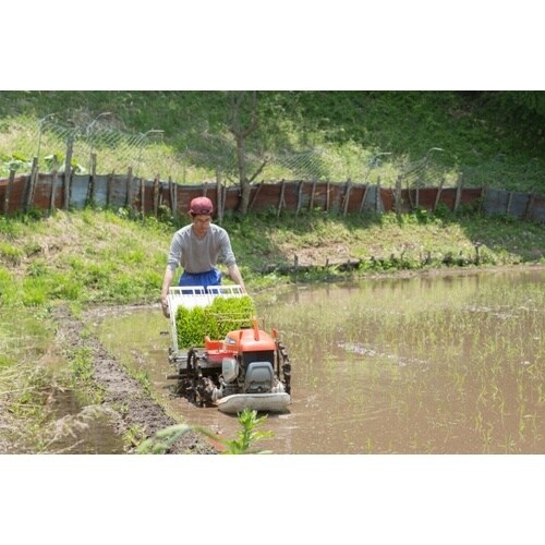 アトム 軽快ソフト 先丸 M