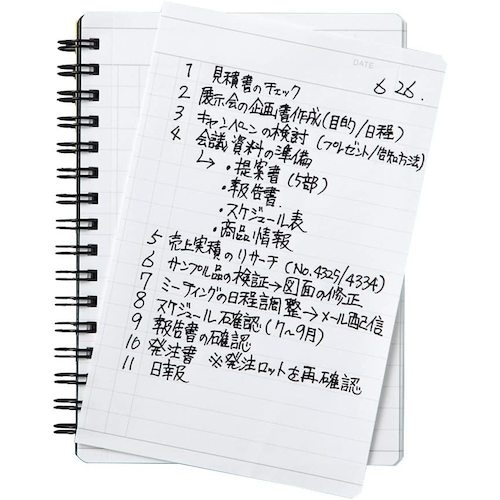 maruman A6 ノート ニーモシネ 行動予定