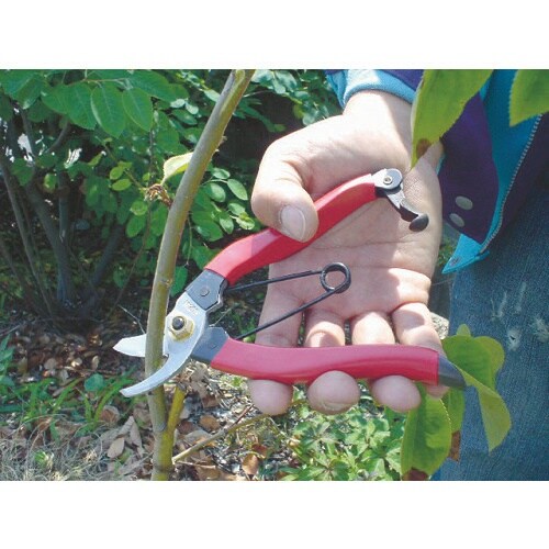 GS 兼次ミニ剪定鋏