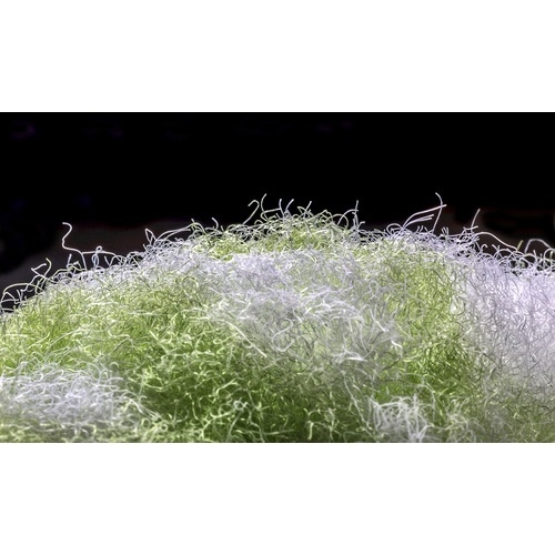 サンコー びっくりドーナツクリーナー