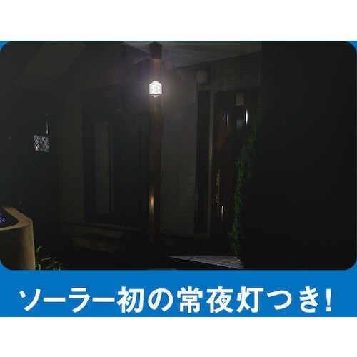 RITEX 5W1灯 フリーアーム式 LEDソーラ