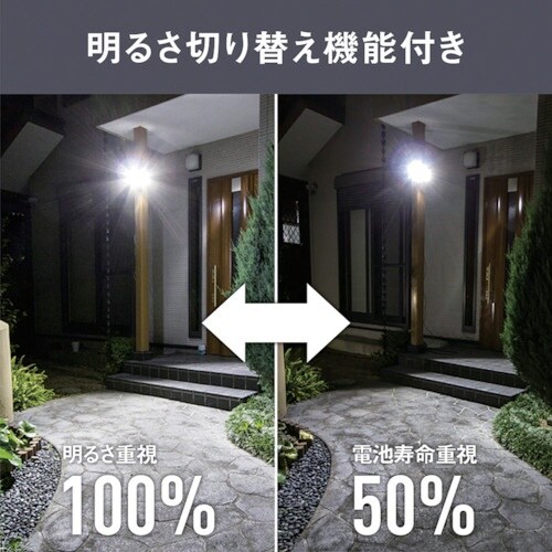 RITEX 5W2灯 フリーアーム式 LEDソーラ