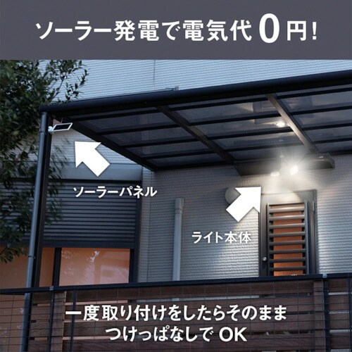 RITEX 5W2灯 フリーアーム式 LEDソーラ