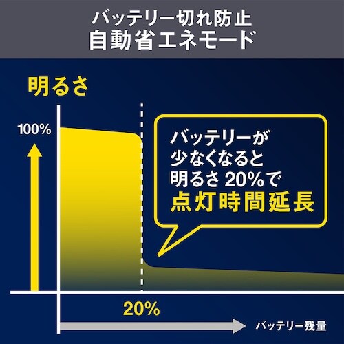 RITEX 5W2灯 フリーアーム式 LEDソーラ