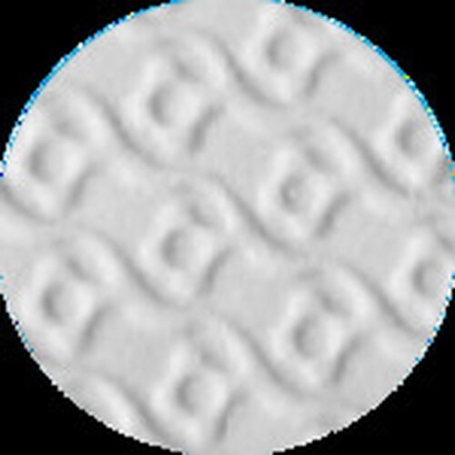 SHOWA 塩化ビニール手袋 No130ビニトップ