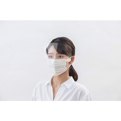 IRIS 518293 アイプロテクト 10枚入り