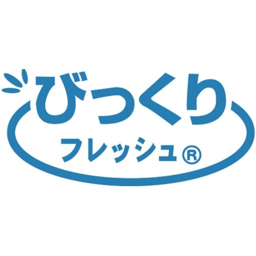 サンコー 洗ってふきとるクリーナー