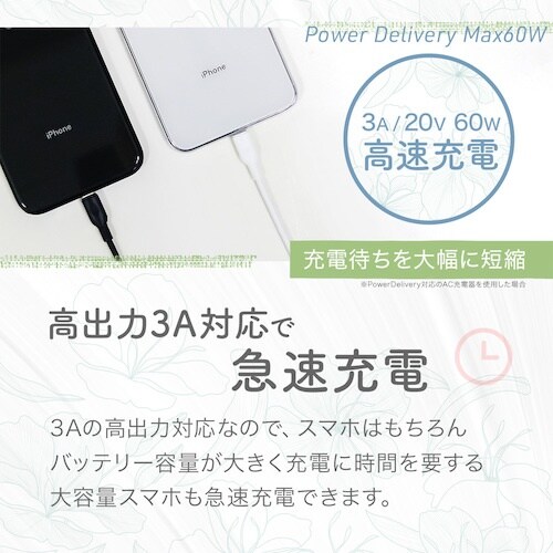 Owltech Type−C to Lightni