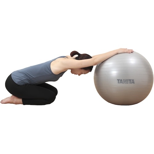 TANITA ジムボール TS−962−SV