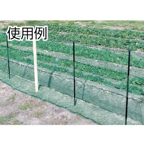 ワイドクロス 防護ネット アニマルネットホールタイ