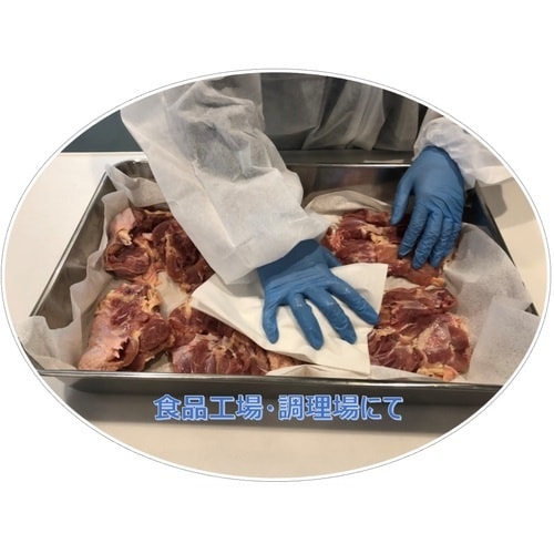 エリエール プロワイプ ストロングタオル E60