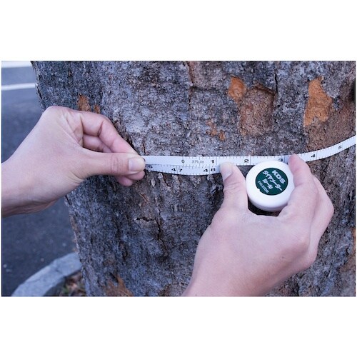 KDS ダイヤメータールール10・2P