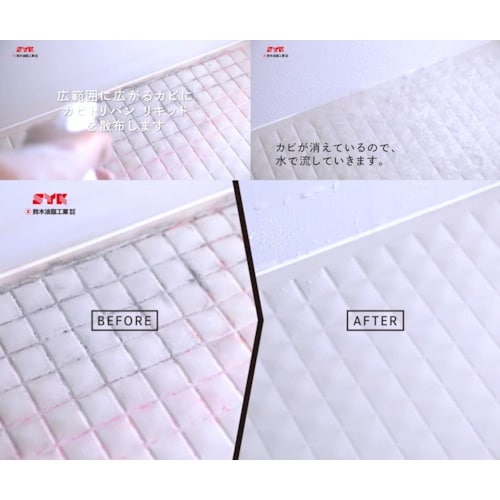 SYK カビ取り剤 カビトリバンリキッド 500g