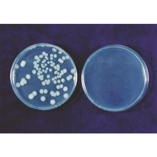 エレクトロン エアータオル KTM−100