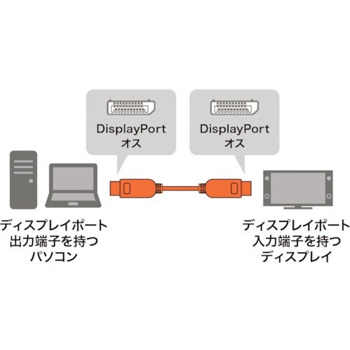 SANWA DisplayPort 1.4 ACT