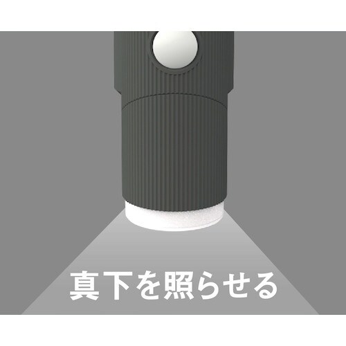 RITEX 4.5W×1灯 ソーラー式シンプルスタ