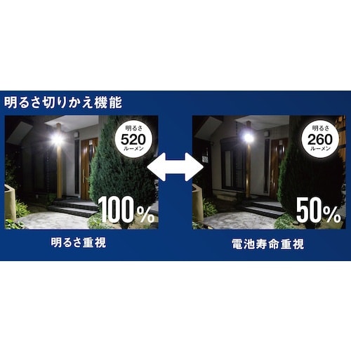 RITEX 4.5W×2灯 ソーラー式シンプルスタ