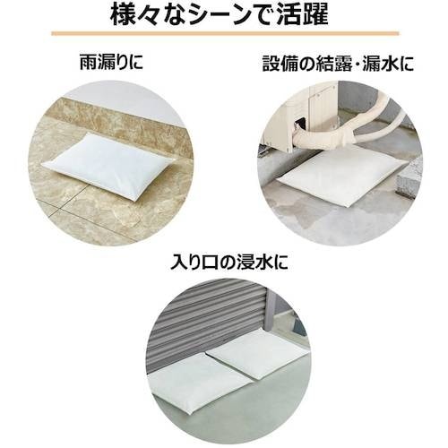 KING JIM 吸水バッグ(10枚入)