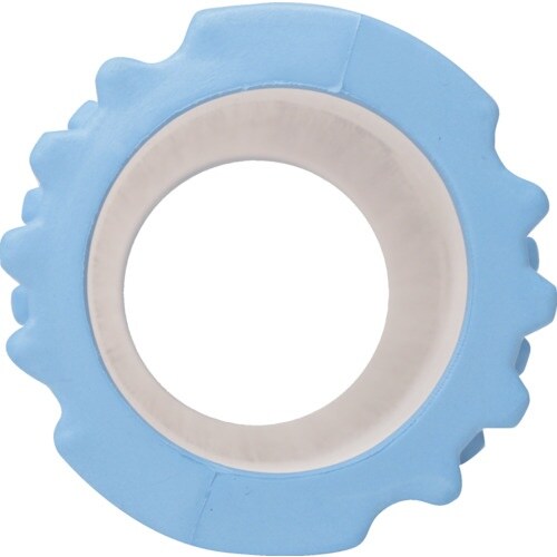 グローバルジャパン お家でヨガローラー サックスブ