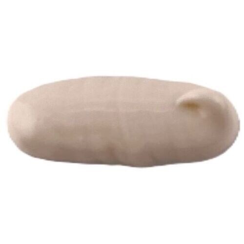 セメダイン スーパーX ナチュラ(Natura)(