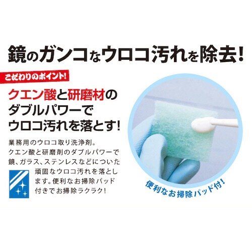 アイメディア 業務用スカッとウロコ取りクリーナー