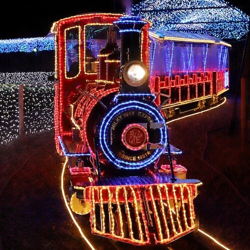 tlight LEDチューブストリング レッド L