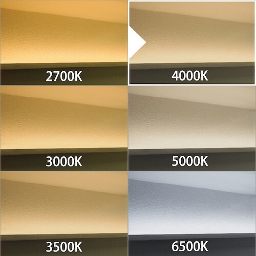 tlight LEDモジュール Viewmo24