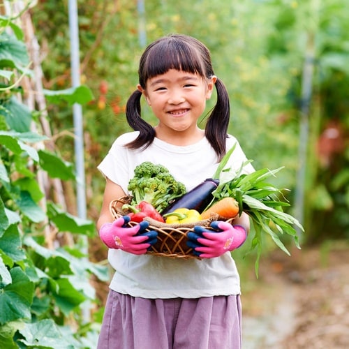 トワロン 天然ゴム背抜き手袋 Withgarden