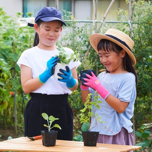 トワロン 天然ゴム背抜き手袋 Withgarden