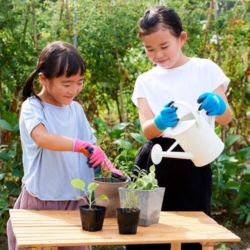トワロン 天然ゴム背抜き手袋 Withgarden
