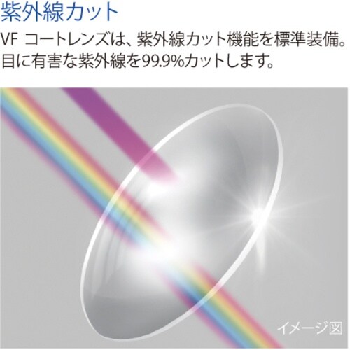 リケン 防曇ゴグル(無気孔型・ワイドビュー・めがね