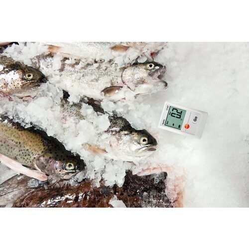 TESTO 温度データロガー testo 174T