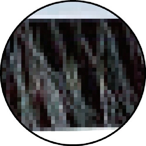 コンドル ほうき プロテック ブルロンTF−N32