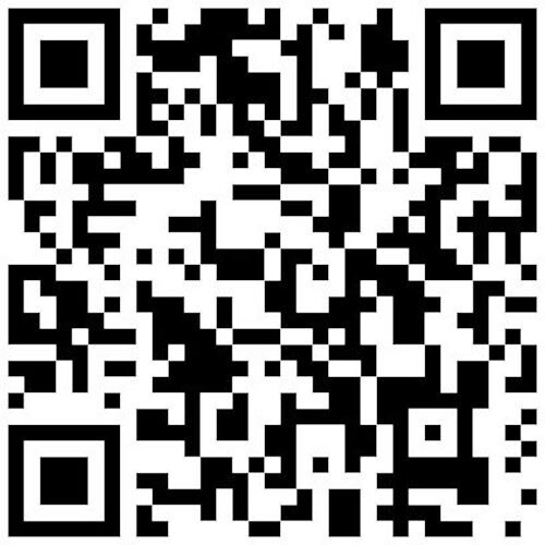 F.R.C. 耳掛け型イヤホンマイク(PRO用/ト