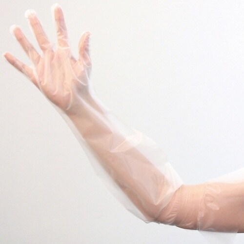 竹虎 使い捨て手袋 ピレンワイプロング S 50枚