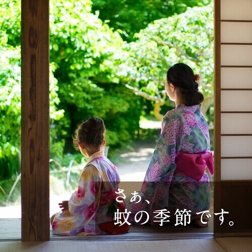 アース アースノーマット 取替えボトル120日用