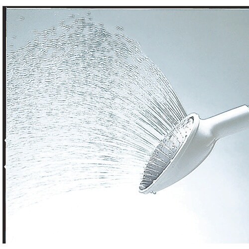 TONBO じょうろ ハスの実 大(13.10.8