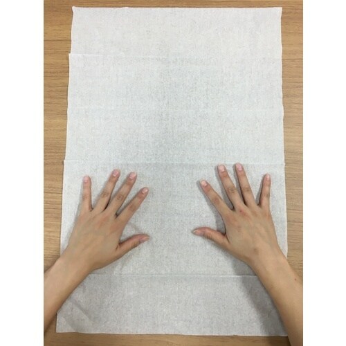 エリエール プロワイプ ソフトマイクロワイパーL1