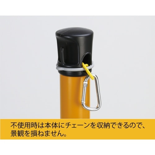 Reelex プラチェーン内蔵ポール バリネオPr