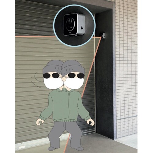 REVEX 液晶画面付センサーカメラ SD3000