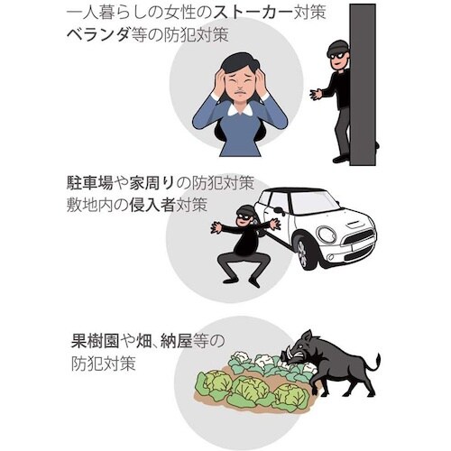 REVEX 液晶画面付センサーカメラ SD3000