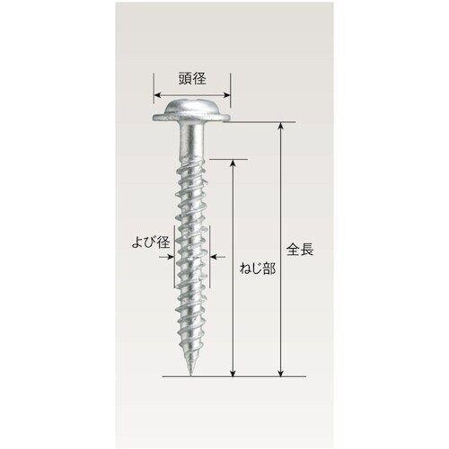 WAKAI ビスピタ ドリル付 座付 バリューパッ