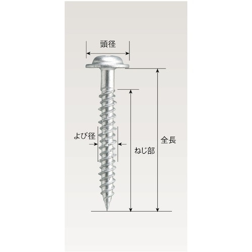 WAKAI ステンレス ビスピタ ドリル付 ナベ